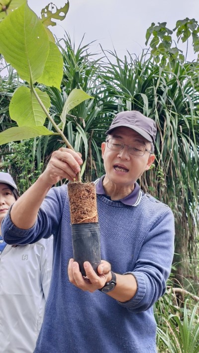 七星潭啟動臨海植群「宮脇法」復育，　營造親人的森林生態。